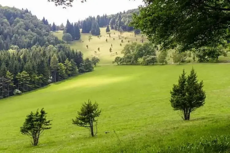 Sextreffen Balingen