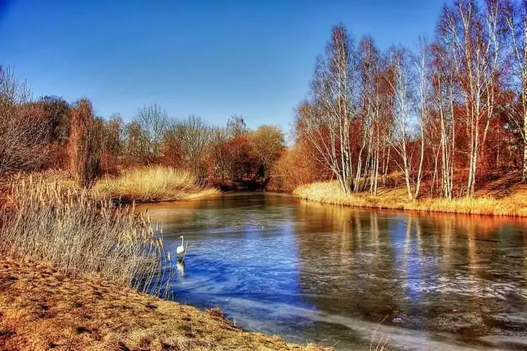 Sextreffen Gifhorn