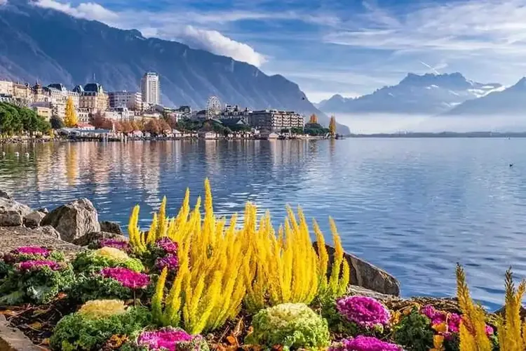 Sextreffen Montreux