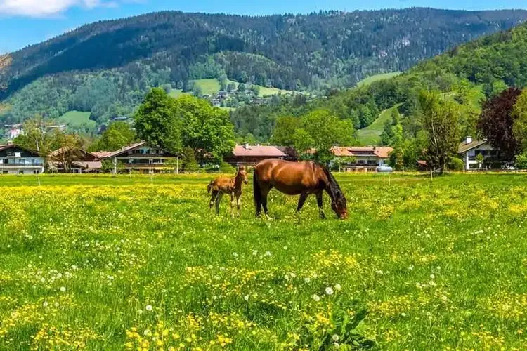 Sextreffen Ottobrunn