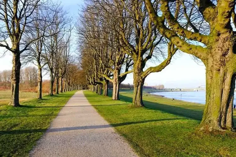 Sextreffen Rhein-Kreis Neuss