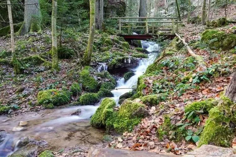 Sextreffen Schramberg