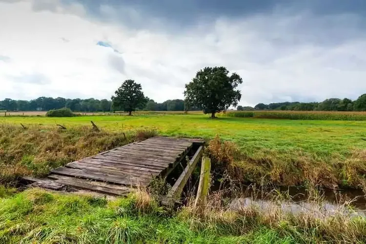 Sextreffen Schwanewede