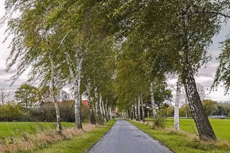 Sextreffen Senden Westfalen