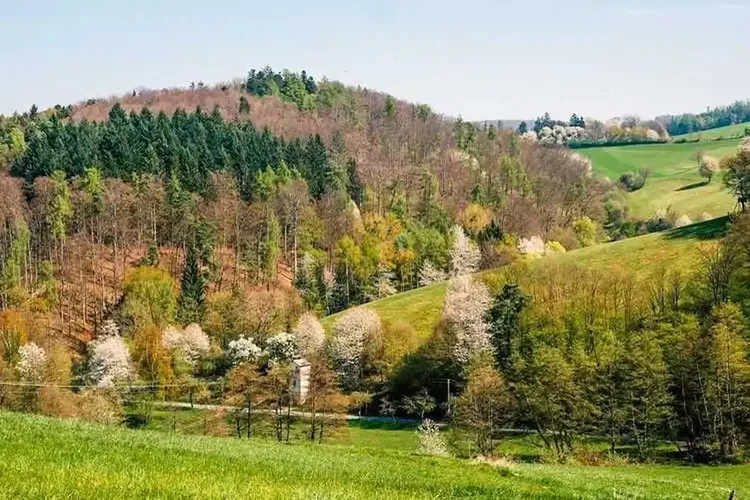 Sextreffen Südhessen