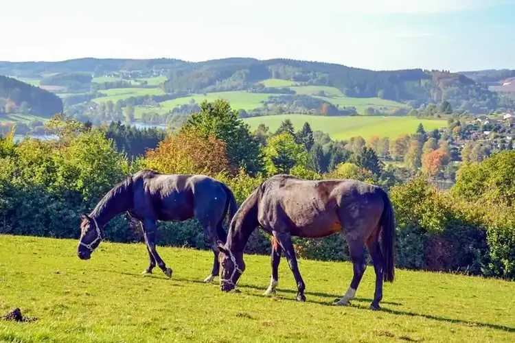 Sextreffen Sundern