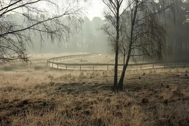 Sextreffen Voerde